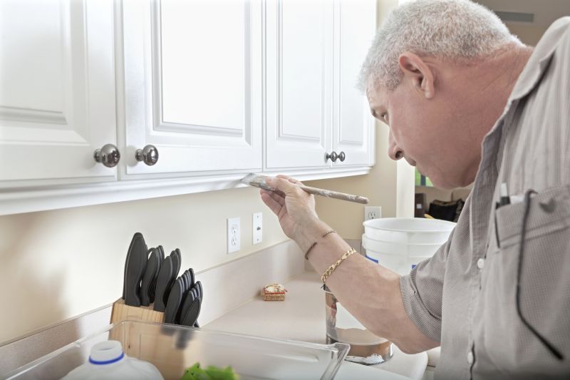Best Cabinet Refinishing Contractors in Plano, TX