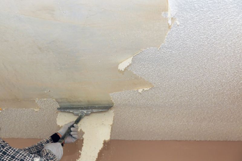 Swirled Ceiling Removal